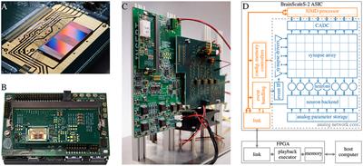 A Scalable Approach to Modeling on Accelerated Neuromorphic Hardware